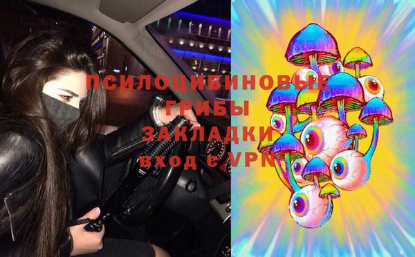 а пвп мука Алзамай