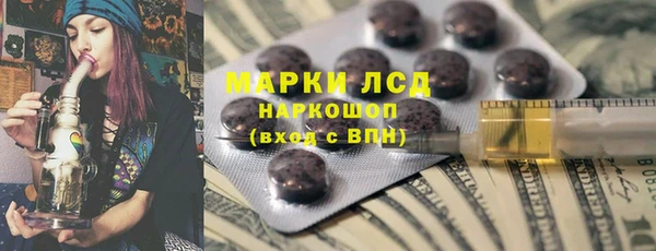 прущие грибы Алексеевка