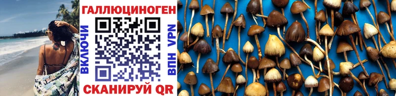 Галлюциногенные грибы GOLDEN TEACHER  где купить   blacksprut зеркало  Дивногорск 