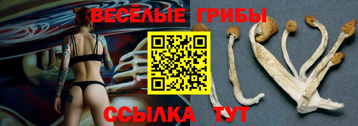 Дивногорск  Галлюциногенные грибы Magic Shrooms  Вход с VPN 